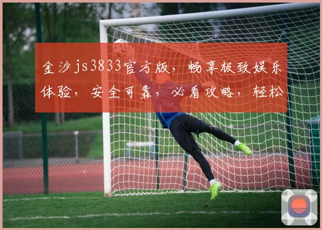 金沙js3833官方版，畅享极致娱乐体验，安全可靠，必看攻略，轻松入门
