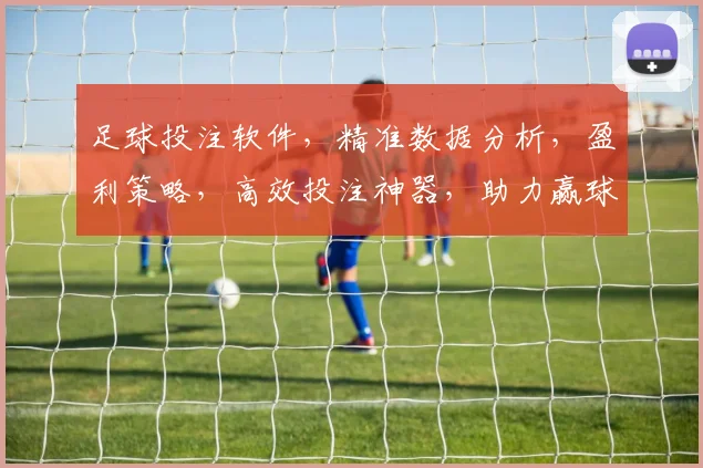 足球投注软件，精准数据分析，盈利策略，高效投注神器，助力赢球之路，轻松盈利双倍