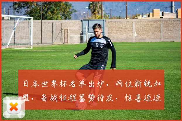 日本世界杯名单出炉，两位新锐加盟，备战征程蓄势待发，惊喜连连