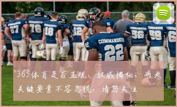 365体育是否正规，权威揭秘，两大关键要素不容忽视，请您关注