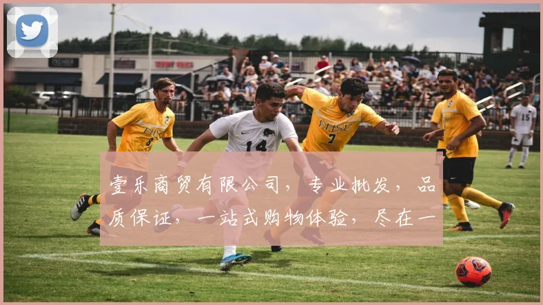 壹乐商贸有限公司，专业批发，品质保证，一站式购物体验，尽在一站式购物平台，惊喜不断